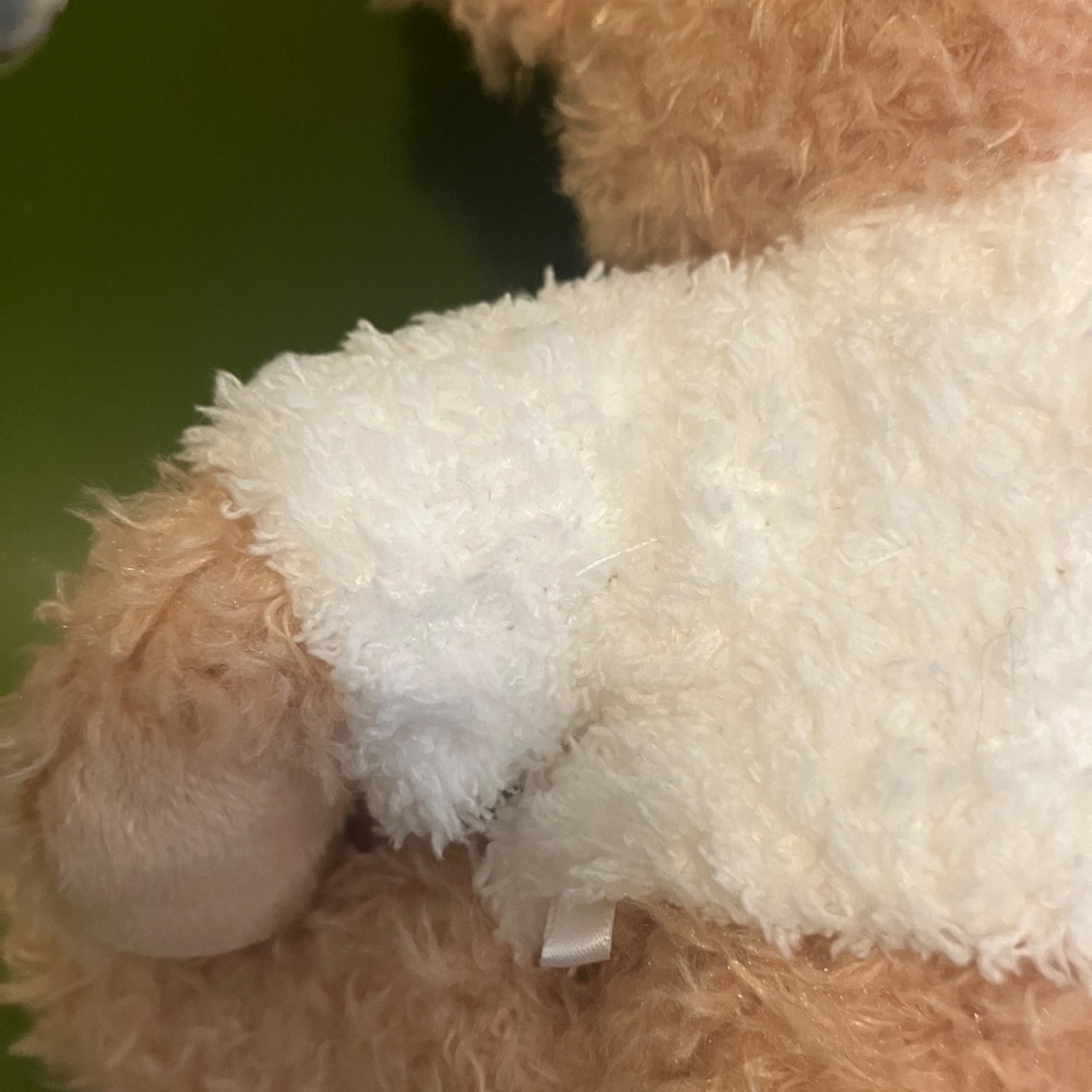 NWT Steiff x Gelato Pique Teddy Bear - Picture 6 of 6